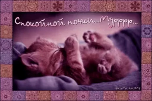 💤 Стикер «тгк» для Telegram
