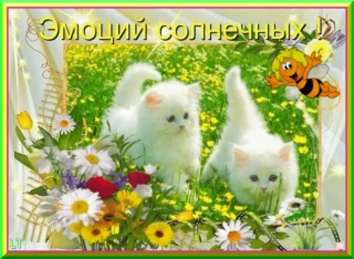 🌿 Стикер «тгк» для Telegram