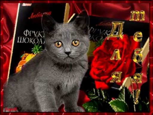 🌹 Стикер «тгк» для Telegram