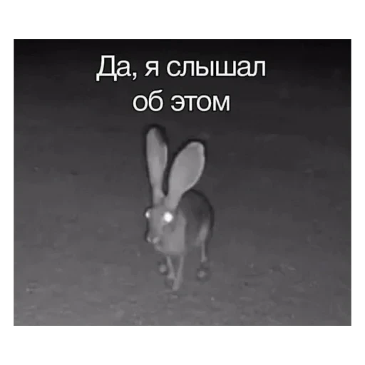 🫥 Стикер «Добрый день» для Telegram
