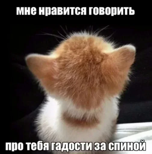🥱 Стикер «Добрый день» для Telegram