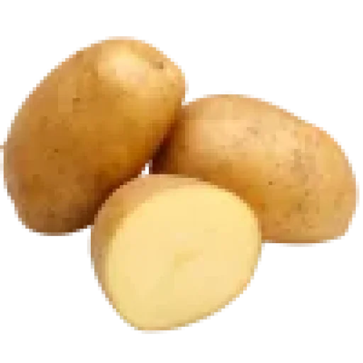 🤩 Стикер «═───┅──╮۶˓「 Doey 」» для Telegram