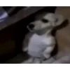 Стикер 60 Собачки X