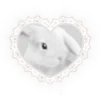 Стикер 53 𓊈Dollcore𓊉 𝒷𝓎