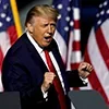 Стикер 11 Donald Trump