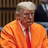 Стикер 16 Donald Trump