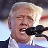 Стикер 5 Donald Trump
