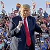 Стикер 12 Donald Trump