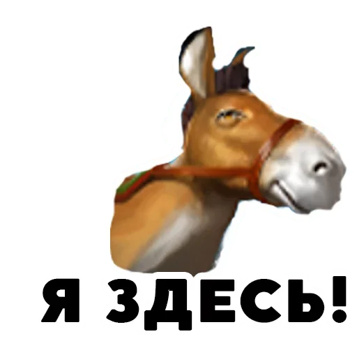 🐴 Стикер «Аморальные стикеры» для Telegram