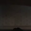 Стикер 29 Дюна
