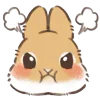Стикер 11 Dwarf Bunny