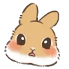 Стикер 16 Dwarf Bunny