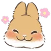 Стикер 28 Dwarf Bunny