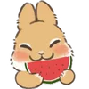 Стикер 43 Dwarf Bunny