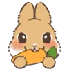 Стикер 8 Dwarf Bunny