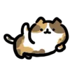 Стикер 30 🐈 Видеоанимированный набор эмоджи с динамичными котиками