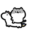 Стикер 26 🐈 Видеоанимированный набор эмоджи с динамичными котиками
