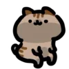 Стикер 5 🐈 Видеоанимированный набор эмоджи с динамичными котиками