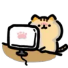 Стикер 38 🐈 Видеоанимированный набор эмоджи с динамичными котиками