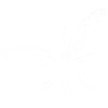 Стикер 32 Black &amp; White #color #black #white