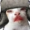Стикер 46 👹 Escape from Tarkov Emoji