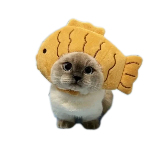 🧸 Стикер «Эмильчик кошка» для Telegram