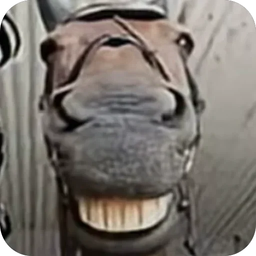🫥 Стикер «EMO KITTY» для Telegram