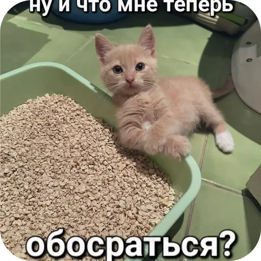 ❓ Стикер «EbaNaToR» для Telegram
