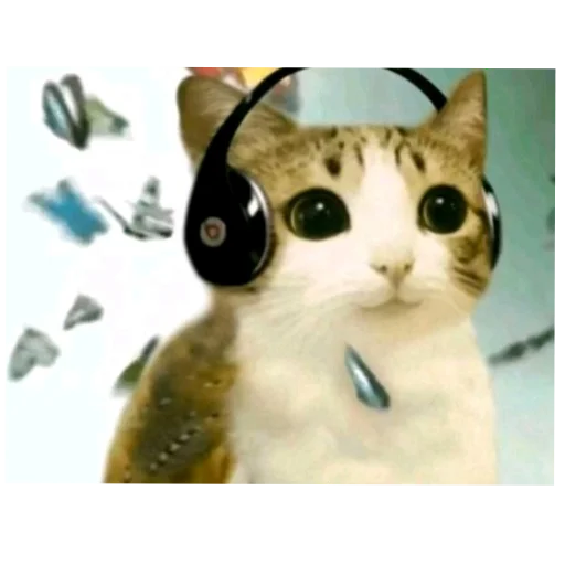 🐱 Стикер «EbaNaToR» для Telegram