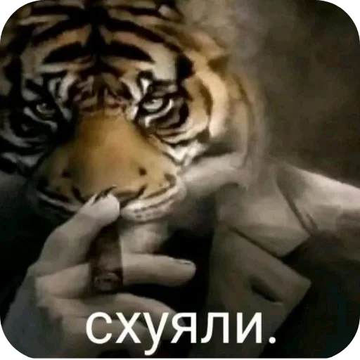 😀 Стикер «EbaNaToR» для Telegram