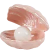 🐚 Эмодзи «˚ʚɞ˚ ˚ʚɞ˚» для Telegram