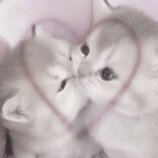 ❤️ Стикер «Efros & Malinov» для Telegram
