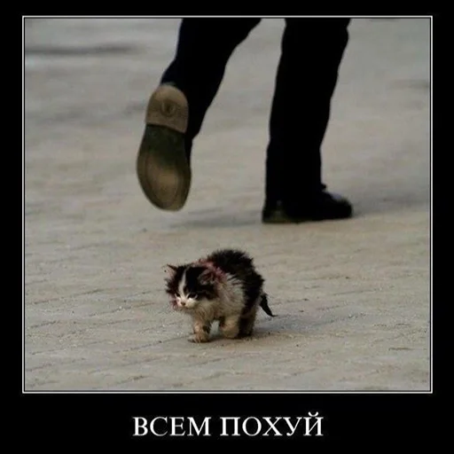 😊 Стикер «Efros & Malinov» для Telegram