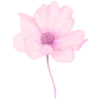 🌸 Эмодзи «Весенние буквы, цветы» для Telegram