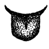 Стикер 12 Dots