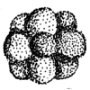 Стикер 16 Dots