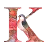 Стикер 11 1️⃣ Красивый шрифт (английский)