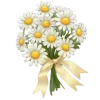 Стикер 48 Cute Ios 18