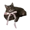 🐱 Эмодзи «🍥» для Telegram