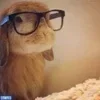 🤓 Эмодзи «🍥» для Telegram