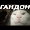😾 Эмодзи «emotes» для Telegram