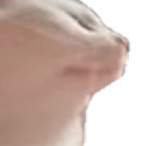 🕺 Эмодзи «emotes» для Telegram