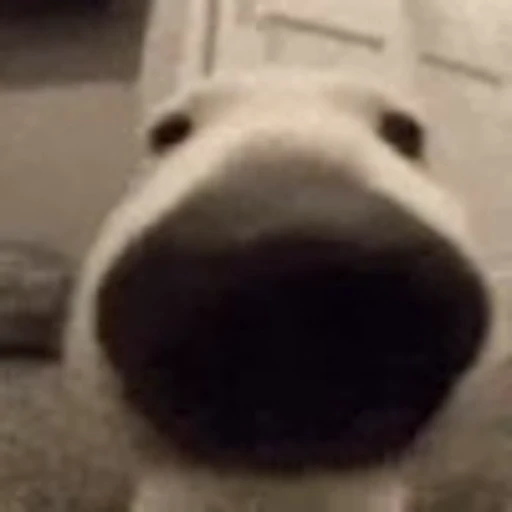 🐶 Эмодзи «emotes» для Telegram