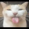 👅 Эмодзи «emotes» для Telegram