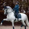 Стикер 32 Equestrian 20 Part