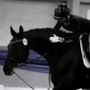 Стикер 20 Equestrian 20 Part