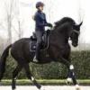 Стикер 27 Equestrian 20 Part