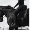 Стикер 17 Equestrian 20 Part