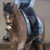Стикер 38 Equestrian 20 Part
