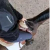 Стикер 5 Equestrian 20 Part